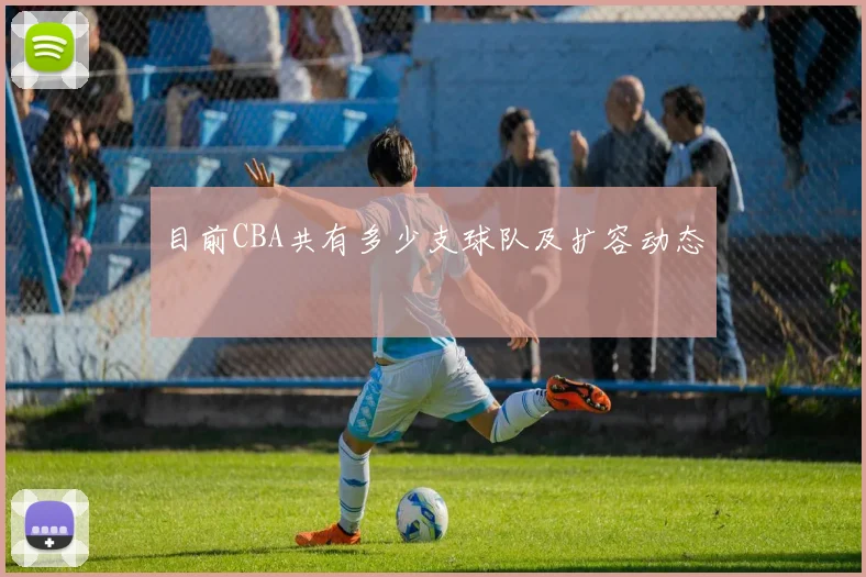 目前CBA共有多少支球队及扩容动态