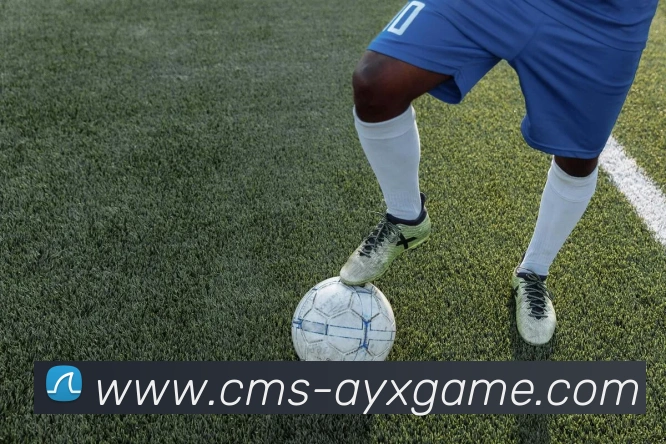 多媒体互动体验