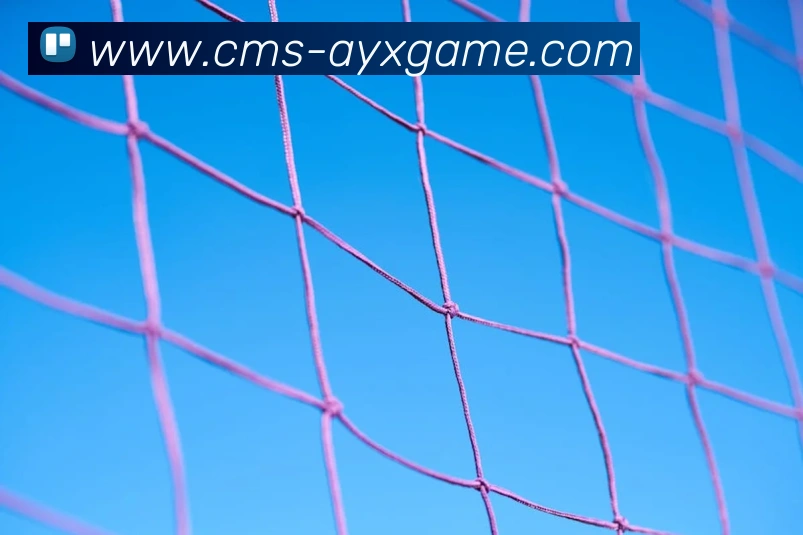 爱游戏APP 高清赛事图